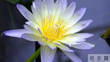 寅虎，1月9日这三天，最大的坎，可能不是事，而是人！