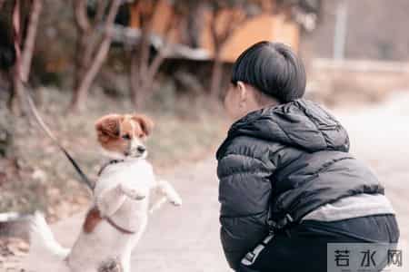 为什么很多男孩越管越糟？真相很扎心