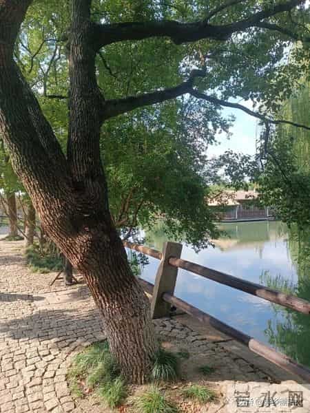 70后男人最大的本事，便是“忍”和“熬”