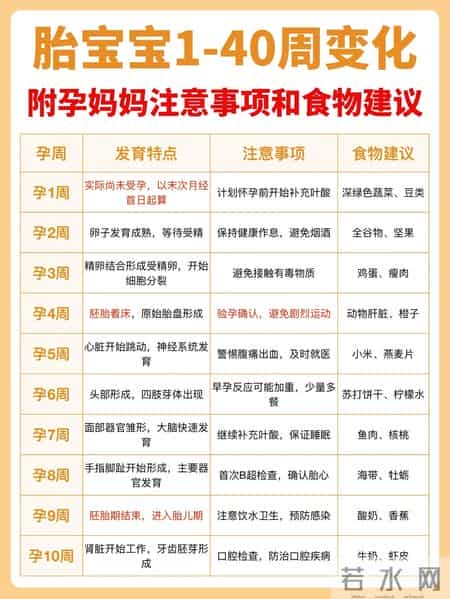 胎儿1-40周发育全攻略！孕妈照做，宝宝健康长大