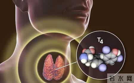 海带再次被关注！医生发现：胃酸反流患者常吃海带，或出现6改善