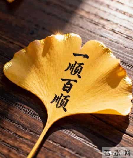 人到晚年才懂，儿子儿媳讨厌你，该让就让