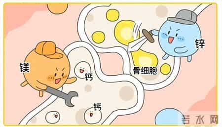 儿童液体钙怎么选？2026儿童液体钙哪个牌子效果好？复配D3K2优选