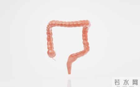 自2026年起，体检发现肠息肉的患者，千万重视做好这5项准备