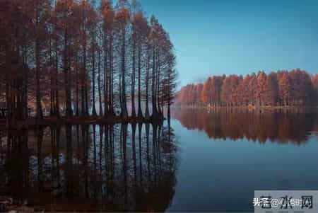 老了才真正懂得，最受人尊敬的老人，都拥有这七大特质，你中几条