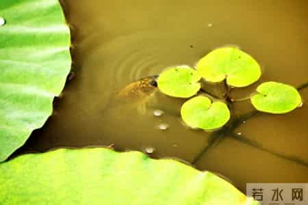 张晓磊情感爆款文章-和任何人相处，掌握这两招就够了！