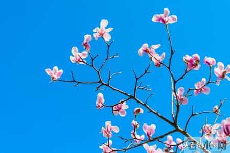 人老了最后一张底牌，大多数人都没想到，保住了就是厉害的老人