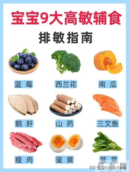 宝宝辅食排敏指南