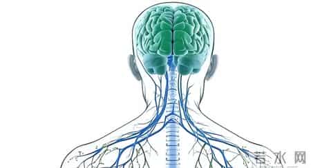 恩格列净全球年销百亿，为何国内达格列净成“药王”？区别在哪？