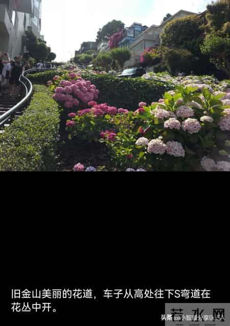 我的退休生活：上海篇，第44天