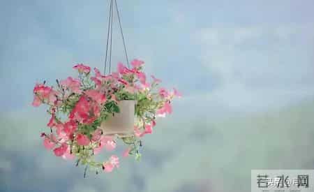 子女没出息，母亲往往是根源：尤其是这3种妈妈，再忙也要看看