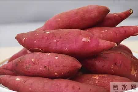 癌症最怕：6种“碱性食物”要常吃！激活免疫力，抵抗体内癌细胞