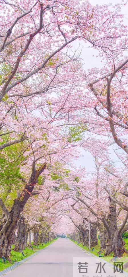 如果孩子敢出言不逊的顶撞妈妈，那么爸爸的教育绝对有缺失