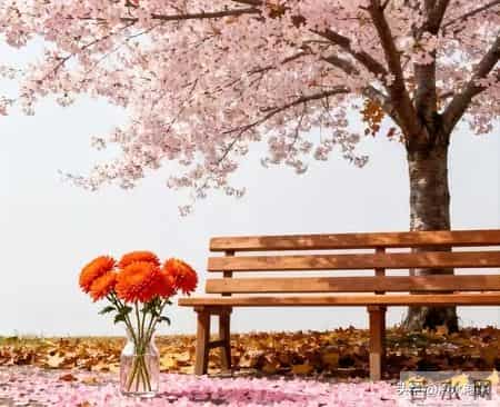 4位同学退休2年病倒两个后，我发现：没特殊经济困难，还是躺平好