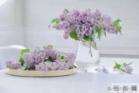 好运将至！从此你家孩子阳光明媚，步步生花！