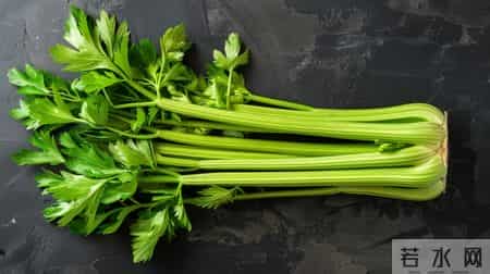 芹菜大量上市！医生再三强调：糖尿病患者吃芹菜，多注意这5点！