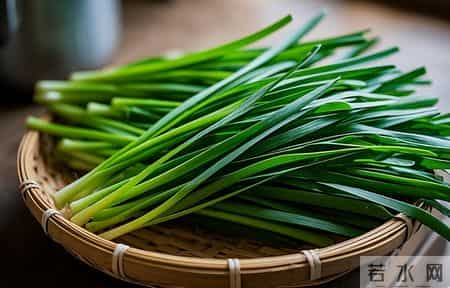 韭菜再次被关注！调查发现：糖尿病常吃韭菜，不过半年或有4好处