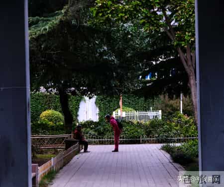 “外包儿女”上门服务，亲情能买吗？背后真相让人沉默。