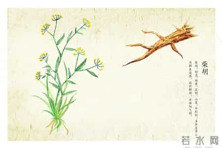 女子反复失眠6年多，中医一方10多剂解决！疗法揭秘→