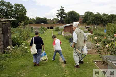 内行人提醒：2026年准备退休的人注意，办理退休前要做好这3件事