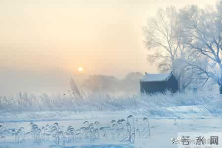 人过六十，宁可每天闲在家里，也别去碰这4件事，守住余生安稳