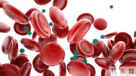 一听到“血液病”就慌？别怕这4种常见类型，管好了和正常人一样