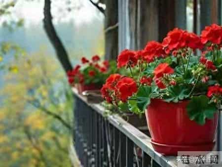 忠告子女：再孝顺，也不要为年过75岁的老父老母，做这五件事。