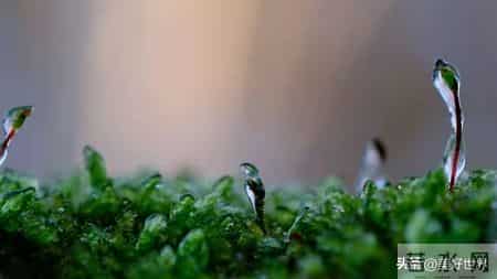 老了才明白：断尽人情往来窝家养老， 低欲生活才是人间清醒！