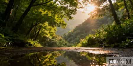 头条新手顿悟：随手点的赞，竟是未来最值钱的铺路石