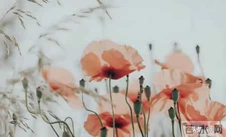 子女没出息，母亲往往是根源：尤其是这3种妈妈，再忙也要看看