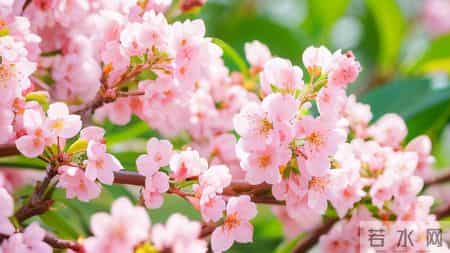 【别把孩子吼废了】