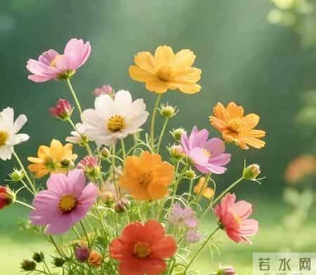 一个家庭最大的悲哀，不是穷，是五六十岁的父母“吃力不讨好”