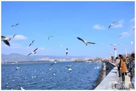 如果不差钱，退休后首选这6座城市过冬，物价不高，慢生活最养老