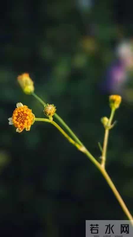 《养娃开运小妙招：明天做对3件小事，孩子悄悄变幸运》