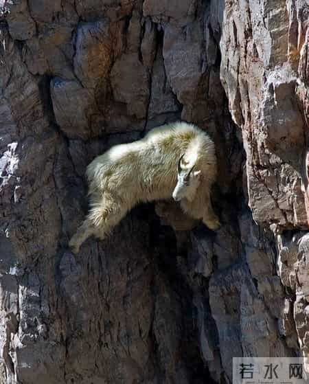 牛马致富路上的五个习惯