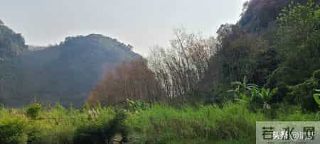 65岁以后的老年人，坚决不要干有风险的事情