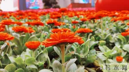 放宽心，你家孩子的命比你想的还要顺