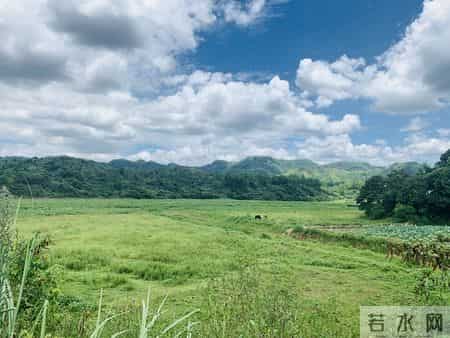 人老了，若没这三分狠心，你的晚年就是儿女眼里的鸡肋，食之无味