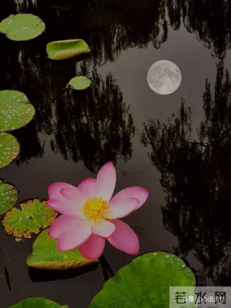 我52岁，退休后才发现：哪怕每月一两千的退休金，也是被人羡慕的