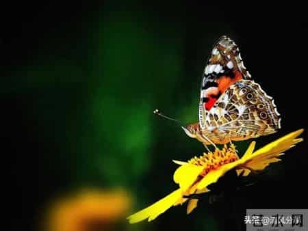人到晚年，不管子女孝不孝顺，牢记这3句话没错，幸福等着你