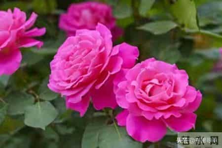 真没想到，你会如此幸运，你的孩子遇到贵人了