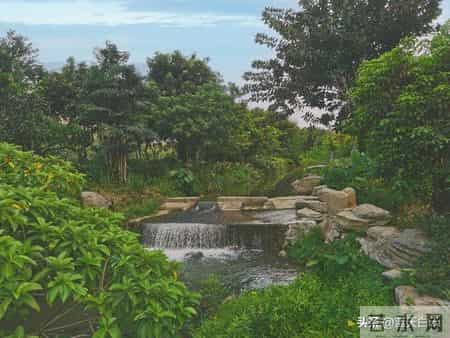 一段很现实的话：有孙子的晚年和没孙子的晚年，过的是两人生