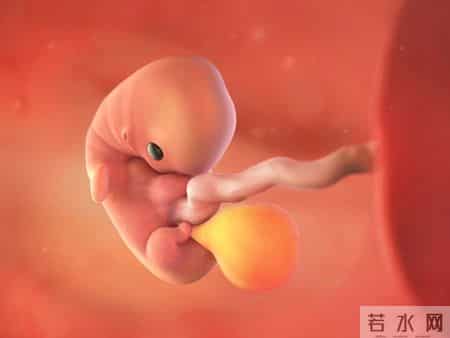 怀孕1-40周，胎儿发育每周变化！孕妈妈的干货科普