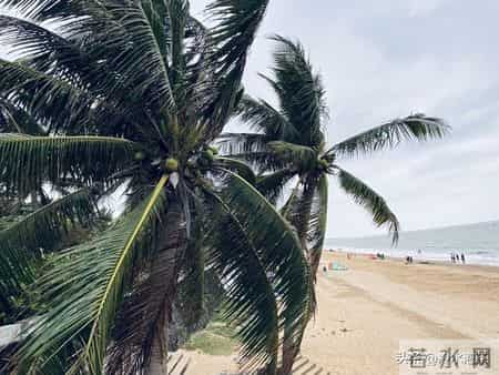 记住！心狠可破万局