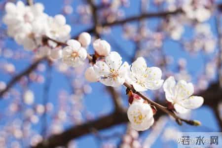 怪不得80岁老人不受子女待见，养老院3个真实现状，揭开残酷真相