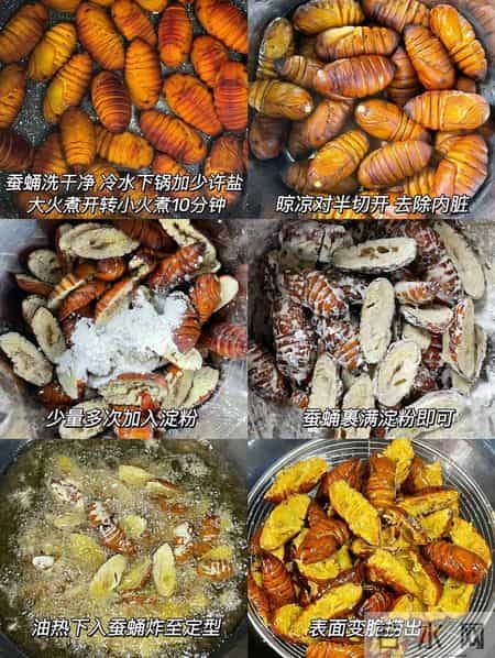 建议中老年：再省也要舍得吃这5样，补足蛋白，腿脚有劲精神足