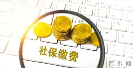 社保断缴补救真相曝光！90%的人做错，13 号与 28 号文件有规定！