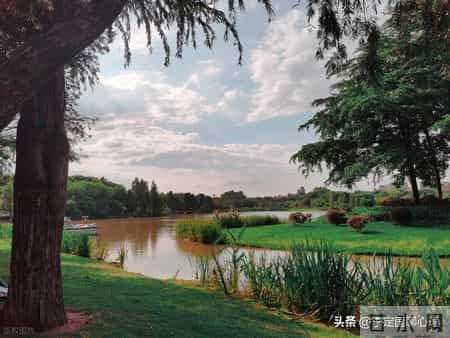 抑郁症为何难以“治愈”？科学的困境与希望