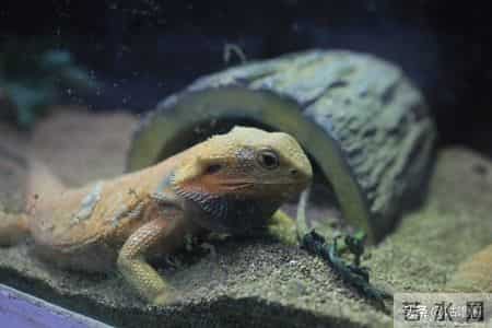 子女最大的悲哀，不是父母退休金低，而是父母60多岁有这八种行为