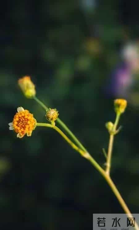 恭喜你！明天就是你家孩子好运的开始，千万别错过！